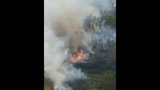 Serpentara Roma, gli incendi non danno tregua alla capitale