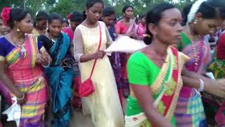 Bagheswar disom mahmore || New Santali video 2019