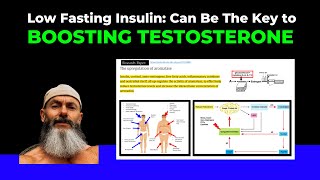 Low Fasting Insulin: Can Be The Key to Boosting Testosterone