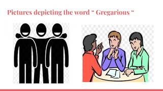 A Word for today : Gregarious