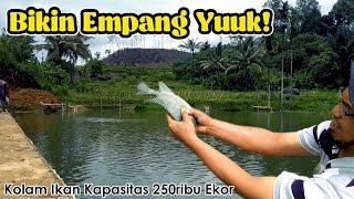 SIMAK INI DULU! Mau Buka Tambak Ikan? || Dari Pelaut Jadi Peternak ||