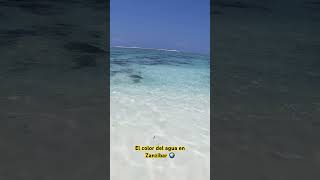 Las aguas cristalinas de la isla de zanzibar , esta es la playa de Mtende