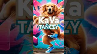 KaVa - Golden Retriever pies tańczy  #doglover #goldenretriever #animals #pets #dogdance