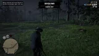 Rdr2 online come chill and witness chaos