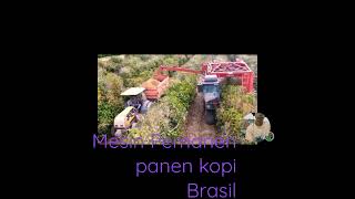 Mesin pemanen kopi brasil. pertanian modern #kopi #panen #brasil #modern #shorts