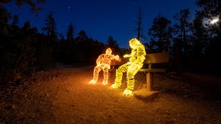 Light Painting in Zion and Red Canyon - VLOG Episode 42