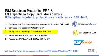 IBM SP for ERP & CDM with SAP Hana - Backing up with CDM - Demo