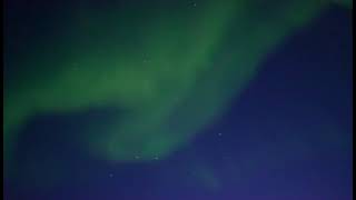 Night of the Northern Lights