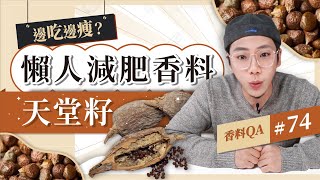 【懶人減肥香料？】天堂籽．天堂椒．非洲荳蔻｜無痛快速減肥的福音!?｜不運動 就能邊吃邊瘦的奇特香料!?｜莫非這就是香料界的瘦瘦針!?｜香料老司機 Rex｜香料QA#74