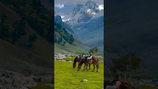 Sonamarg Kashmir #newmusic #song #lyrics #spotify #music