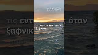 #φωκια #greece #news #shorts #nature #naturephotography #naturelovers #greece #eviaisland