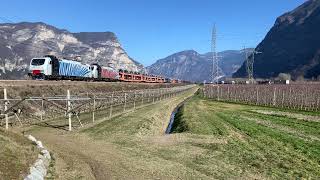 FERROVIA DEL BRENNERO IN 4K. Solo merci nei pressi di Mezzocorona (TN). #brennerbahn #vectron #treno