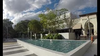 Lincoln Road Mall Scooter Tour - Miami Beach  ⛱