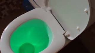 Подсветка для унитаза с датчиком движения Bowl Light