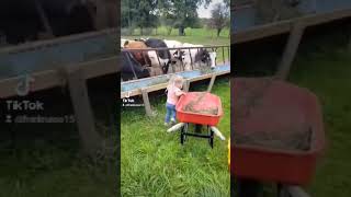 lil Emmy out feeding Moo Cows 🐄🐄🐄