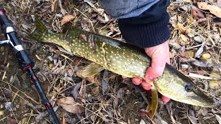 Pike December 28th ICE OUT! Southern Ontario