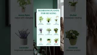 Healing Plants #health #healthy #healthytips #plants #healing #shorts #healingplants