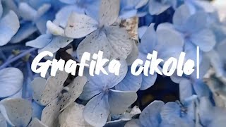 Grafika Cikole #bandung #grafikacikole #cikole