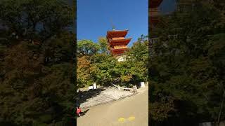 Kiyomizu Temple  History