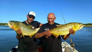 GRANDES DORADOS. EMPEDRADO, CORRIENTES. Tercer día, segunda ronda #pesca