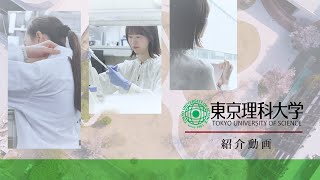 東京理科大学への留学