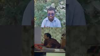 #comedy #viral #shortvideos #viralvideos #youtubeshorts #funny #telugucomedy #comedy #brahmanandam