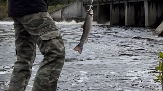 Fishing for native brook trout on the allagash river #brooktrout #fishing #maine