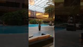 Sheraton Heathrow Hotel lobby/ indoor swimming pool/ ready for check-in