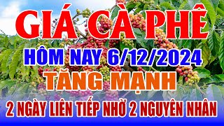 Giá cà phê hôm nay 6/12: tăng mạnh 2 ngày liên tiếp nhờ 2 nguyên nhân