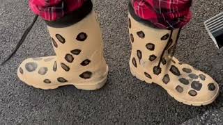 The Cheetah Boot Bandit