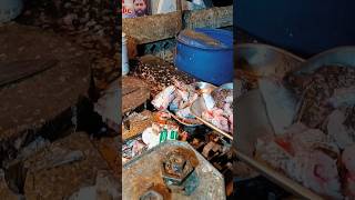 fish cutting in dombivli davde Mahesh fish Shop 🐠#shorts #short #shortvideo #trending #viral #video