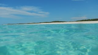 Snorkeling at the bay of pigs in Cuba