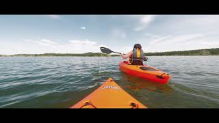 Cinematic Camping in Red Feather Lakes