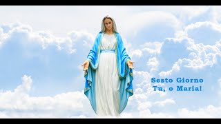 Novena dell'Immacolata Concezione: Sesto Giorno - "Tu, o Maria!"