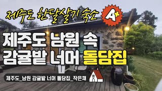 제주도 #한달살기 숙소_[6박이상-14박이하 예약전용] 남원 감귤밭 너머 돌담집_작은채