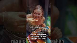 fakta unik tentang cabai dan sensasi pedasnya #tahukahkamu #videomenarik