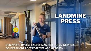 MÅNEDENS TRÆNINGSØVELSER TIL SKULDER🏋🏼‍♂️