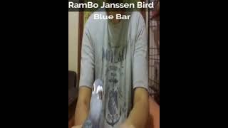 RamBo Janssen Bird Watch the full video: https://youtu.be/DxB7d9s2dt0