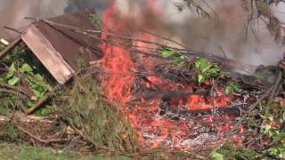 Détruire des souches par le feu : une bonne idée ?