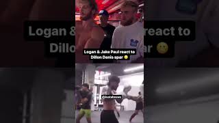 Logan and Jake Paul React To Dillon Danis Sparring 😂😂😂… #boxing