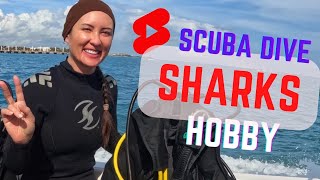 DIVE WITH SHARKS AS A HOBBY #shorts