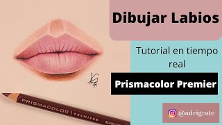 Cómo dibujar labios, boca con lápices de colores | Prismacolor Premier