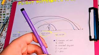 Badminton flight patterns (left to right) - school act