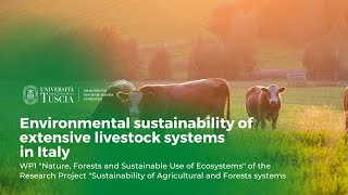 🖥️ Environmental sustainability of extensive livestock systems in Italy