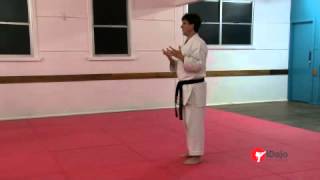 Karate - Bassai Dai Kata Sparring Part 1