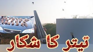 2021 1st sunday پنجاب تیتر کا شکار hunting's shooting