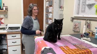 Finishing the Cats in Pajama's Quilt