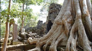 Cambodia, Siem Reap, Temples of Angkor, IMPRESSIONS GALLERY - fantastic I