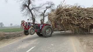 Massey Tractor Challenge Pulling Out