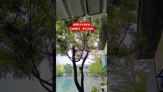 akhirnya jambi hujan #viral #trandding #jambi #rain